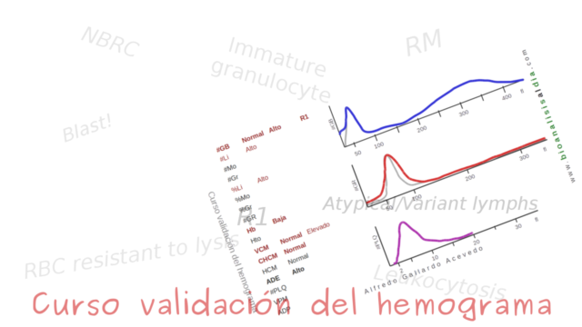 ¿Quieres sacarle el máximo provecho a los datos y gráficos que te da el equipo y realizar una validación con ciencia?